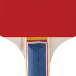 Spokey Training Pro FL 9506400000 table tennis racket Ütőfelszerelés