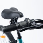 Radvik Children's Bike Viking 20" children's bicycles