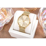 Michael Kors Pyper Women's Watch + BOX watches