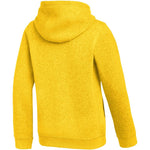 Nike Park 26 Fleece Hoodie for Kids Yellow IB1226 sárga kapucnis pulóver