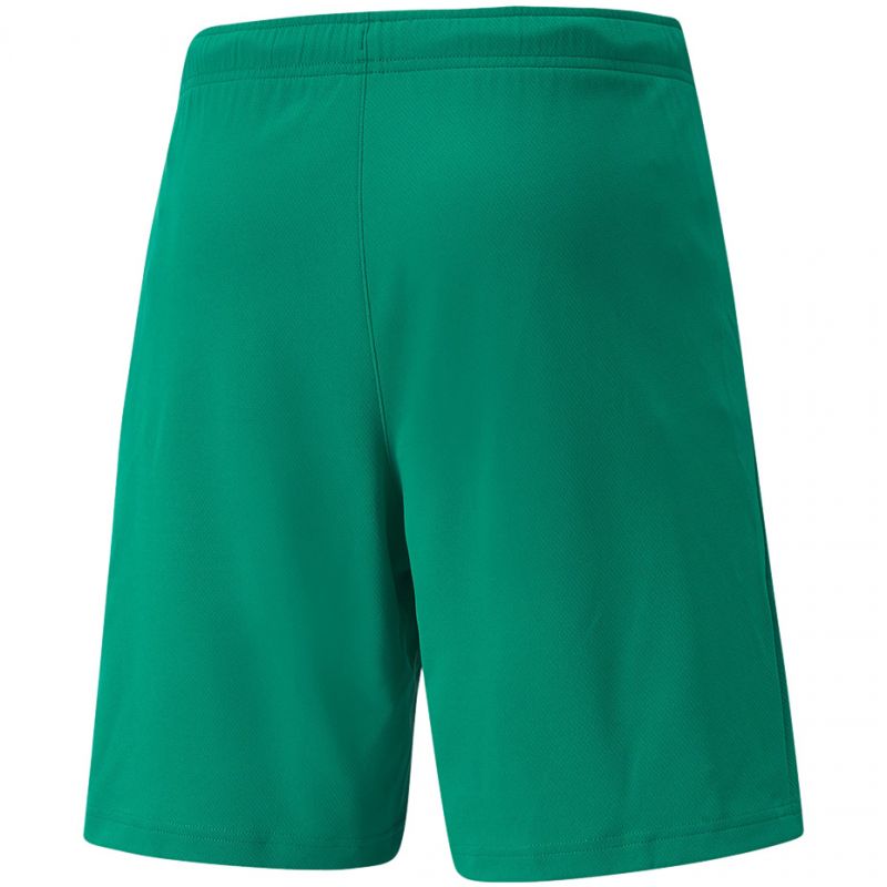 Puma teamRISE Short M 704942 05 Short