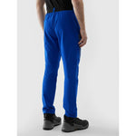 Men's quick-drying trekking trousers 4F 4FWSS24TFTRM482-36S nadrág