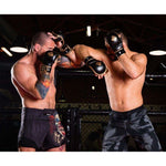 DBX Bushido MMAsparring gloves - Aureos - Valor Series kesztyű