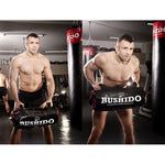 DBX Bushido Bushido, Sand Bag, Crosstraining, Fitness 35 Kg sandbag
