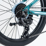 Radvik Children's Bike Viking 20" children's bicycles