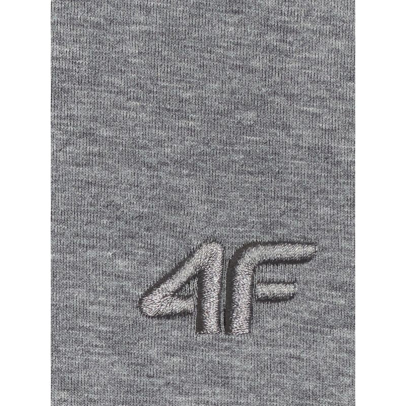 Men's regular hooded sweatshirt 4F