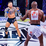 DBX Bushido MMAM Gloves - Harmony - Valor Series kesztyű