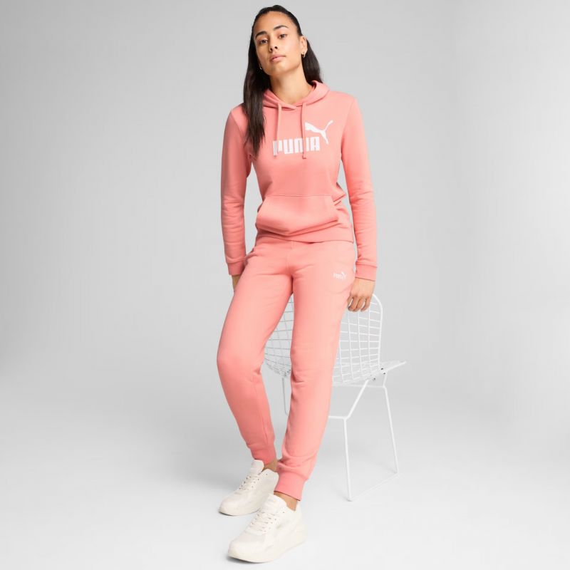 Puma ESS No.1 Logo Hoodie W 682391 18 Kapucnis pulóver
