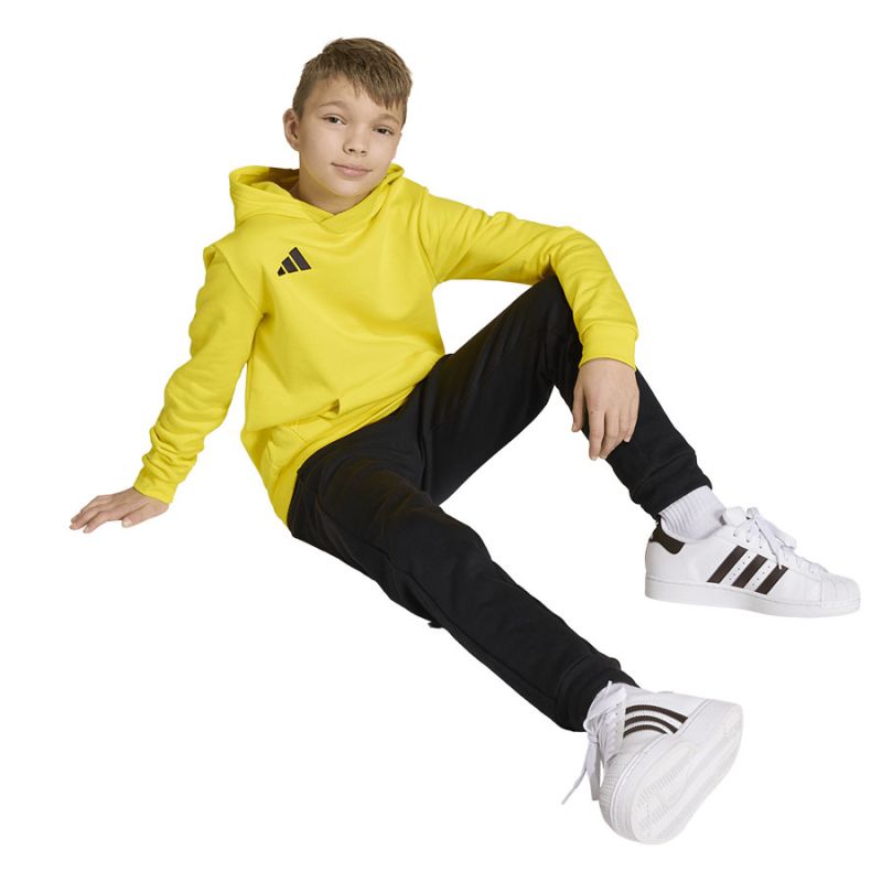 Kép alternatív szöveg