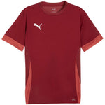 Puma teamGoal Matchday Jersey men's burgundy 705747 09 Kiegészítő