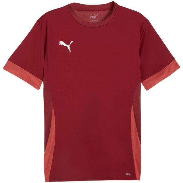 Puma teamGoal Matchday Jersey men's burgundy 705747 09 Kiegészítő
