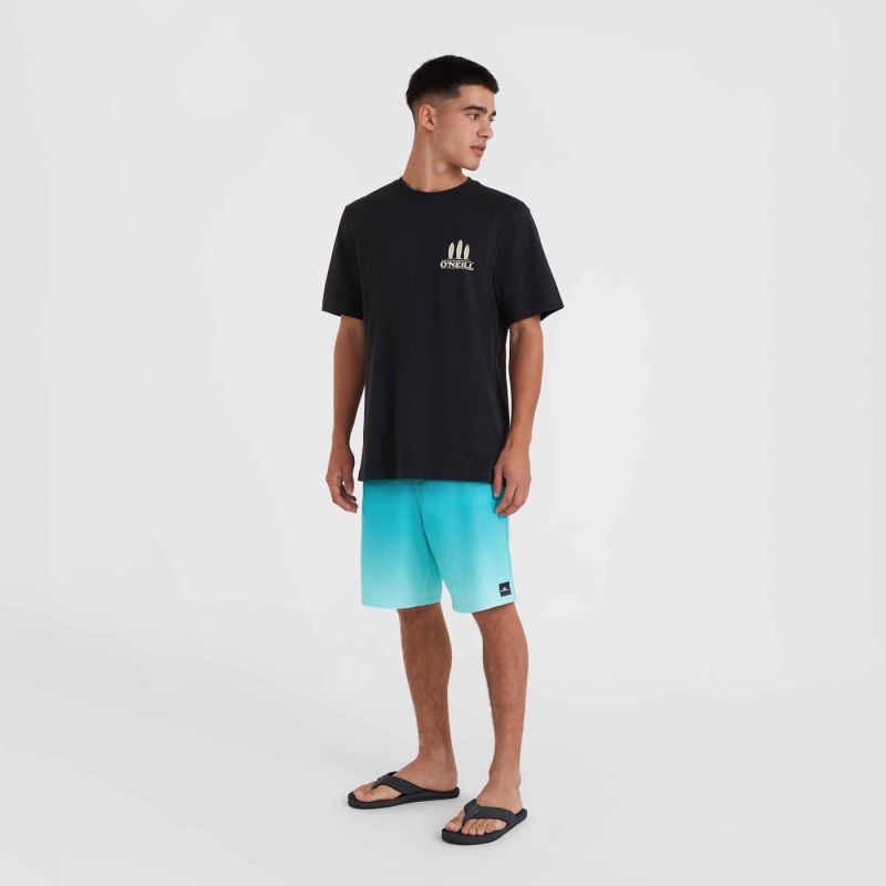 O'Neill Beach Graphic T-Shirt fekete póló