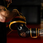 DBX Bushido Multi-layer boxing gloves - ProFighter Gold - Legacy Series bordeaux kesztyű