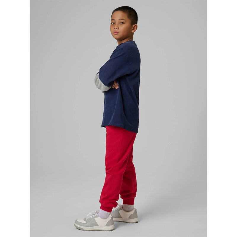 Boys' jogger sweatpants 4F 4FJRSS26TTROM1824-62S pants