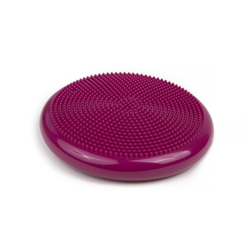 Tiguar stabilizing disc (air disc) DR- lila edzőfelszerelés TI-AD0011