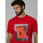 4F Men's regular printed T-shirt 3xl ruházat