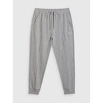 Men's jogger sweatpants 4F 4FRAW25TTROM1671-27M