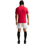 Nike Dri-Fit Park VIII Men's T-Shirt Red HV8173 piros póló