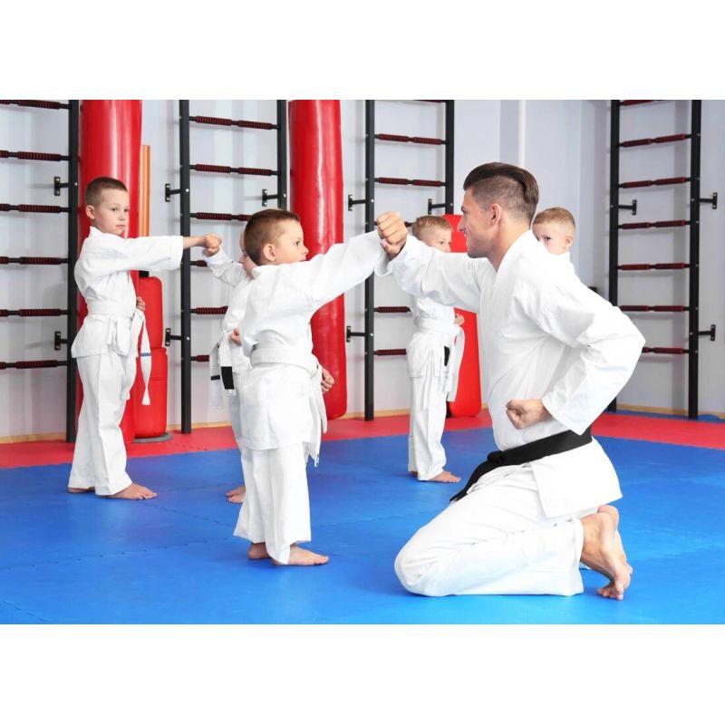 DBX Bushido Exercise mat with Safety Certificate - Puzzle 1x1m - Tatami 26mm mats, puzzle, training equipment