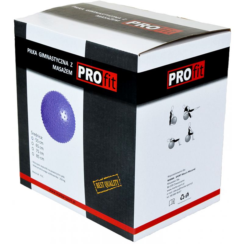 Inny PROFIT Gymnastics with Massage 55cm Purple DK 2104 Labda