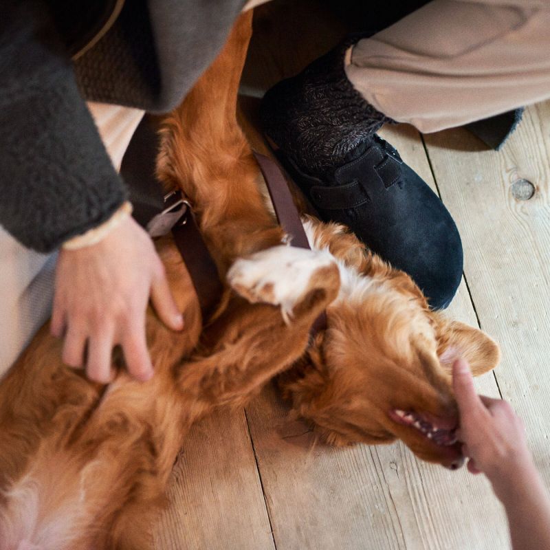 Birkenstock Boston Shearling Black Women's Wool Insulated Clogs Regular Wide (0259881) Kiegészítő