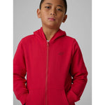 Boy's regular hooded sweatshirt 4F 4FJRSS26TSWSM2749-62S sweatshirts