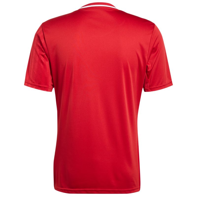 adidas Campeon 25 Jersey M JF6058 Póló