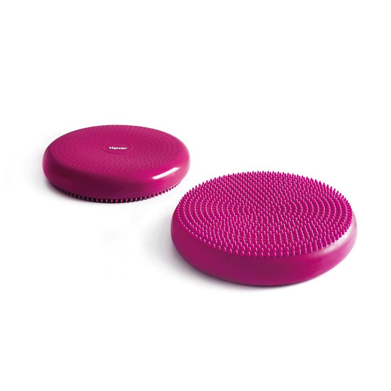 Tiguar stabilizing disc (air disc) DR- lila edzőfelszerelés TI-AD0011