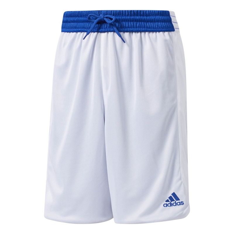 Kép alternatív szöveg