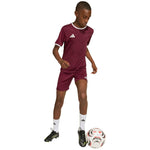 adidas Entrada 26 Jersey kids' T-shirt JZ2530 bordó póló