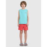 Boys' boardshorts 4F 4FJWSS25UBDSM117-63S 158/164 short