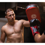 DBX Bushido PAO training shield made of natural leather training equipment, shields