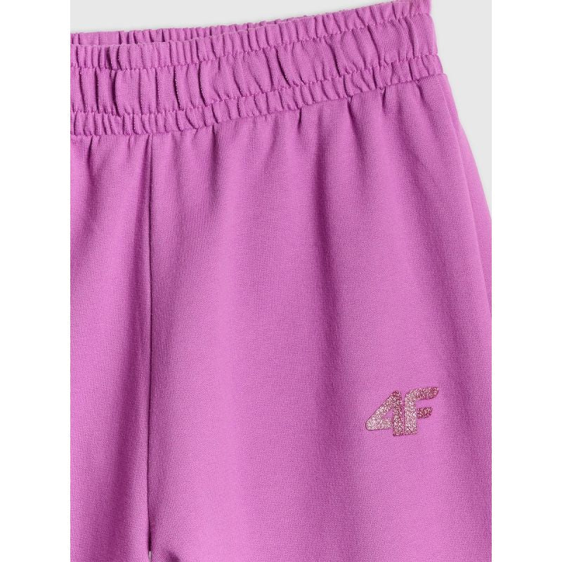 Trousers cas 4F JUNIOR 4FJRSS26TTROF1918-51S pants