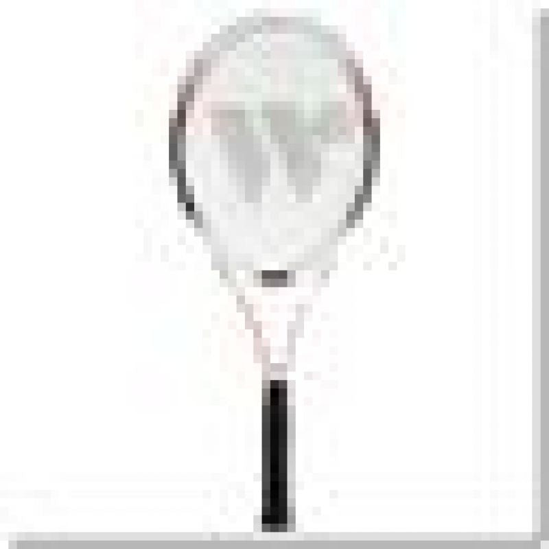 Inny WISH WS4001 Badminton Net Tollaslabda kiegészítő