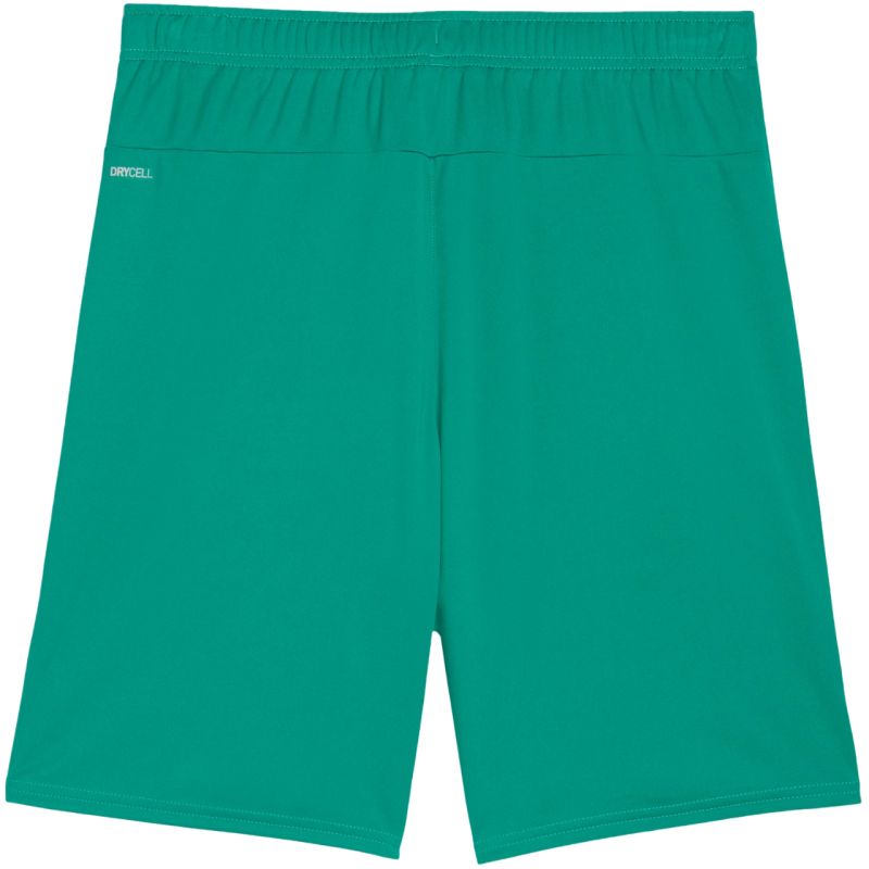 Puma teamGOAL Shorts