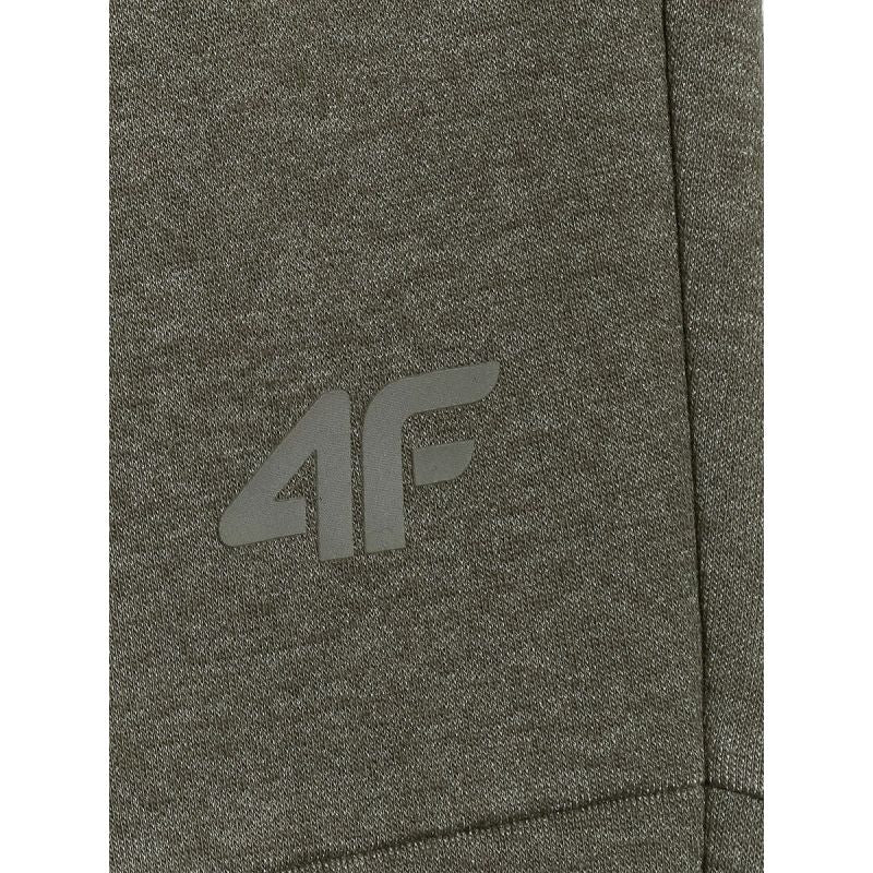 Men's jogger sweatpants 4F 4FRAW25TTROM1691-43M nadrág
