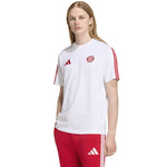 Adidas FC Bayern DNA Tee póló
