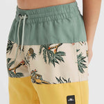 O'Neill Mix&Match Cali Block 13'' Jr Swim zöld shorts, pants, swimming shorts