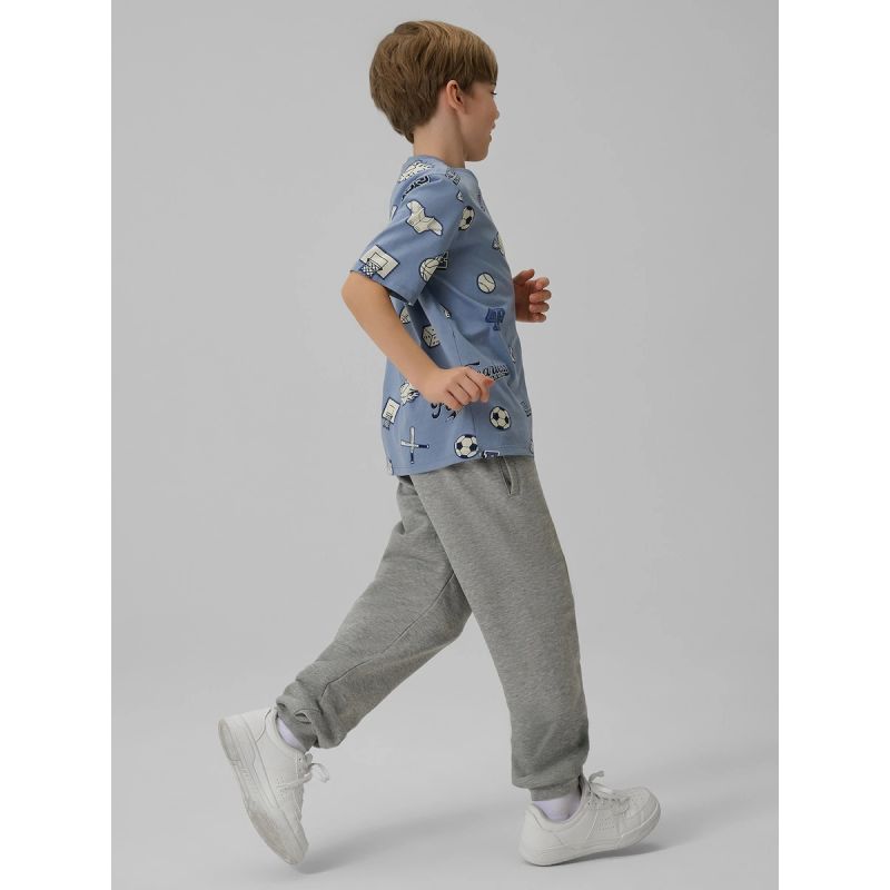 Boy's regular printed T-shirt 4F 4FJRSS26TTSHM3466-32A shirts
