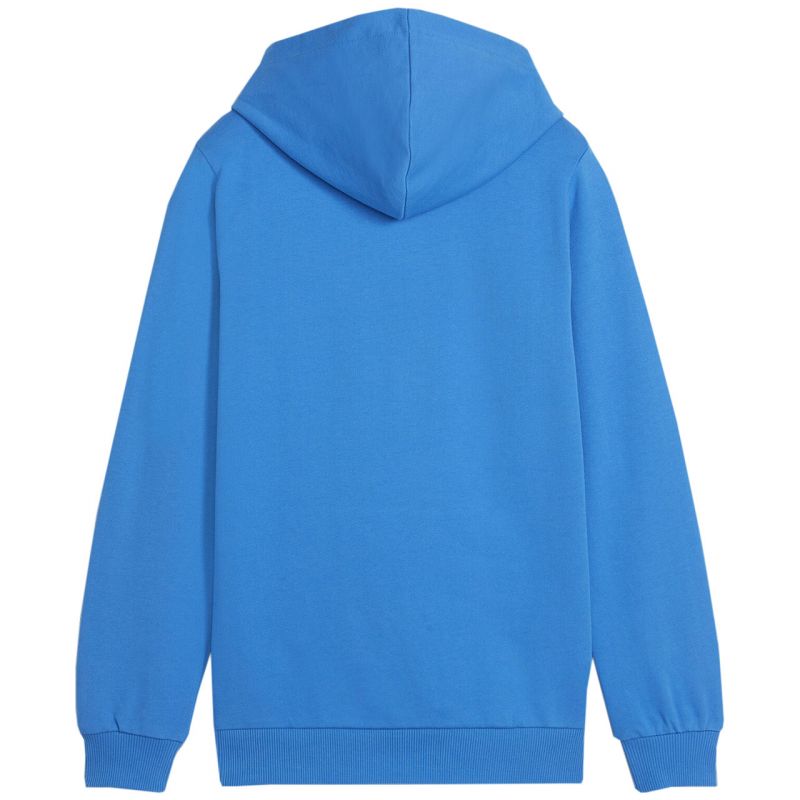 Puma Team Goal Casuals Hoddy Jr sweatshirt 658619 02 Pulóver