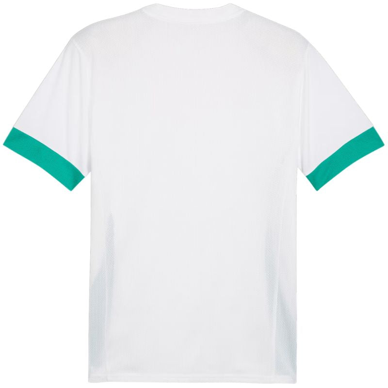 Puma teamGoal Matchday Jersey men's white-green 705747 15 Kiegészítő