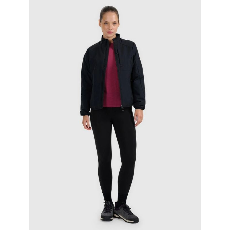 Women's Merino Wool Trekking T-shirt 4F 4FWAW25TFTSF1527-53S