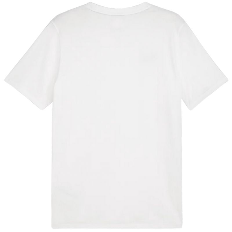 Puma Team Goal Casuals Tee M 658615 04 Póló