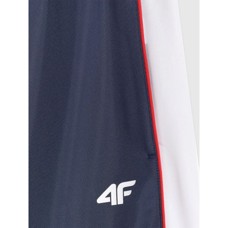 Men's jogger sweatpants 4F 4FRAW25TTROM1611-31S nadrág