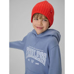 Boy's regular hooded sweatshirt 4F