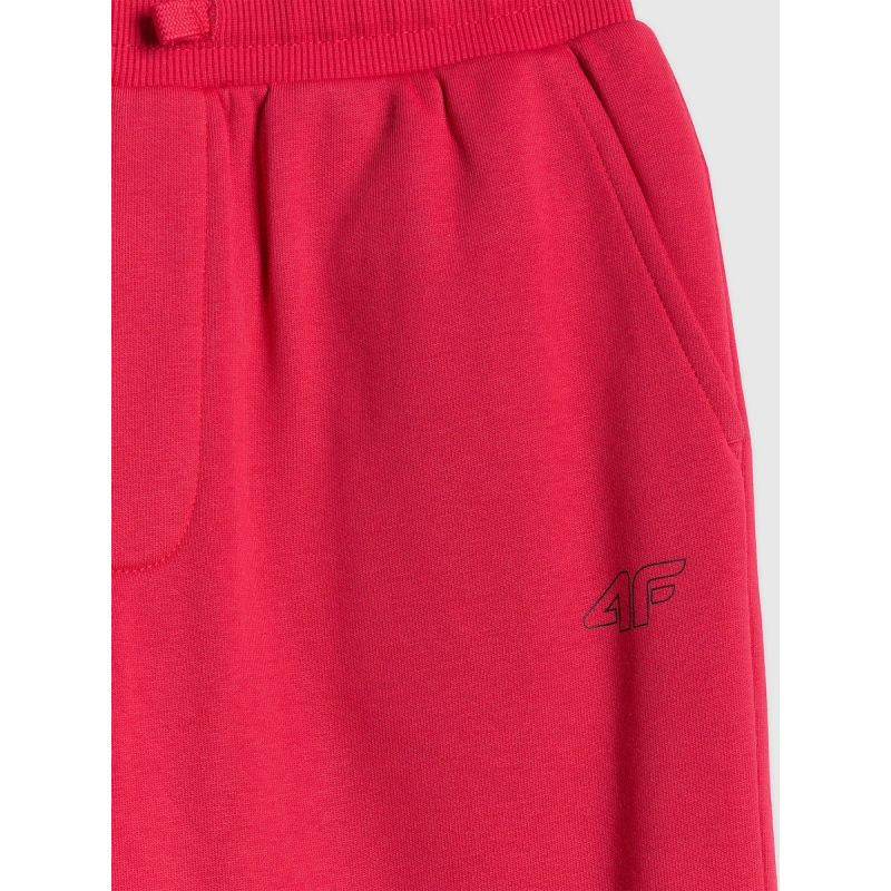 Boys' jogger sweatpants 4F 4FJRSS26TTROM1824-62S pants