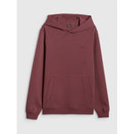 Men's regular hooded sweatshirt 4F