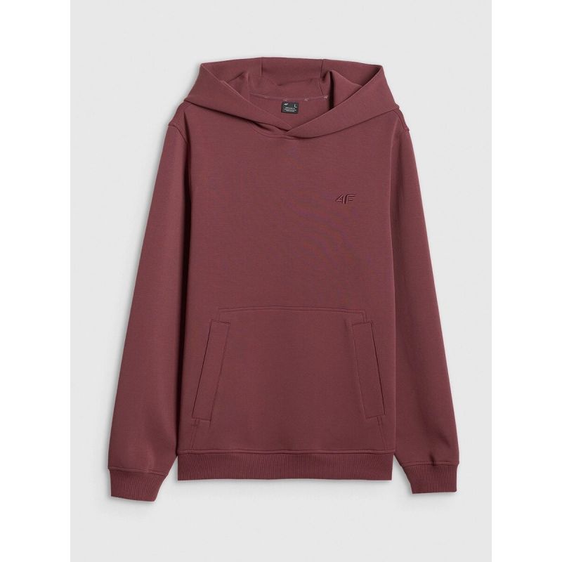 Men's regular hooded sweatshirt 4F