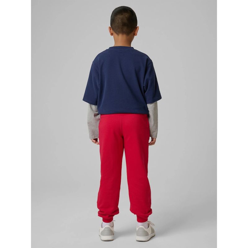 Boys' jogger sweatpants 4F 4FJRSS26TTROM1824-62S pants