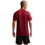 Nike Dri-Fit Park VIII Men's T-Shirt HV8173 bordó póló